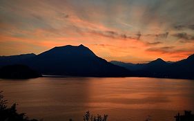 Ortensia Lake Como - Perfect For Couple And Pets